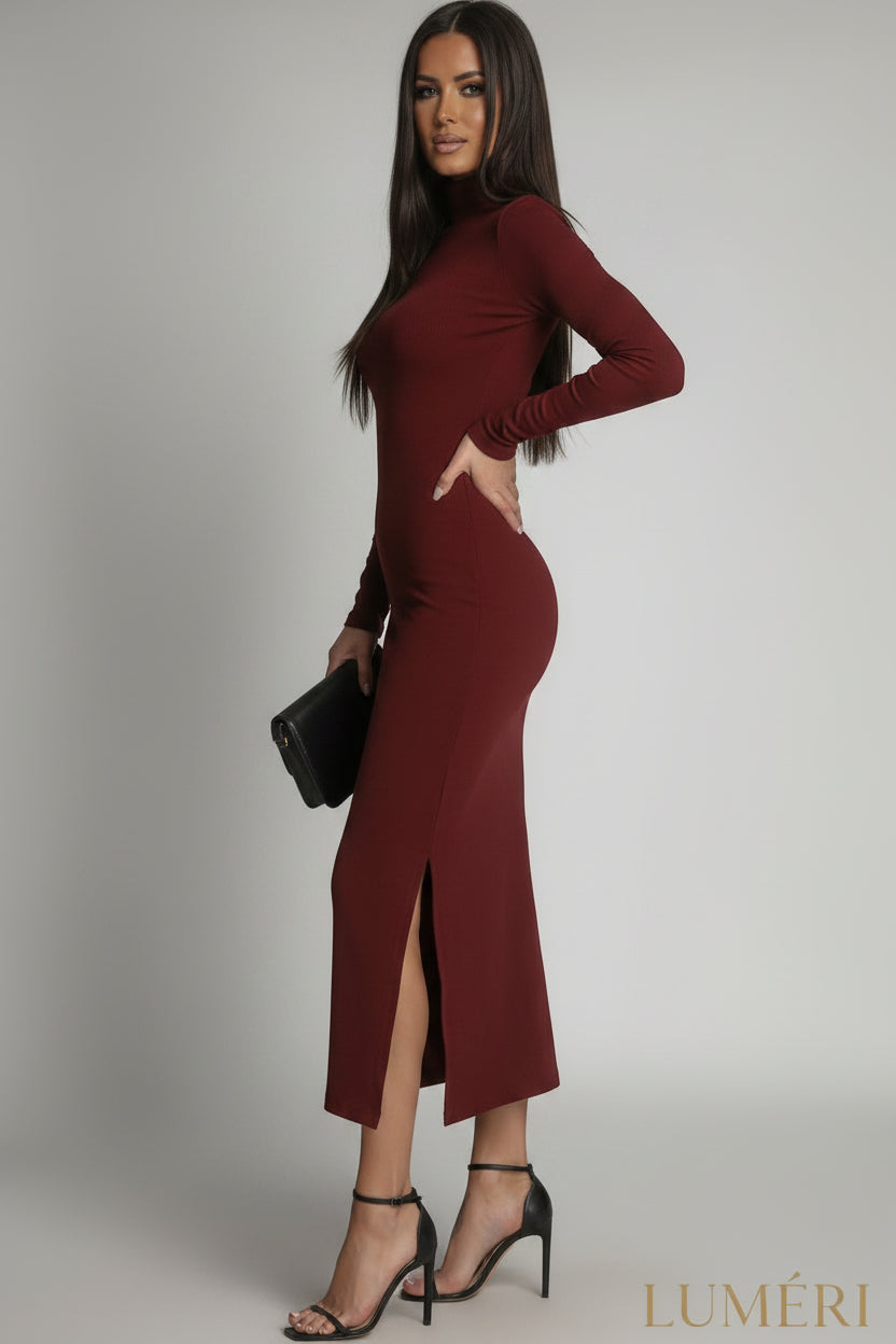 Luméri Muse | Cotton Fitted Maxi Dress With A Turtleneck Burgundy 1 – LUMÉRI