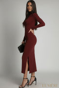 Luméri Muse | Cotton Fitted Maxi Dress With A Turtleneck Burgundy 1 – LUMÉRI