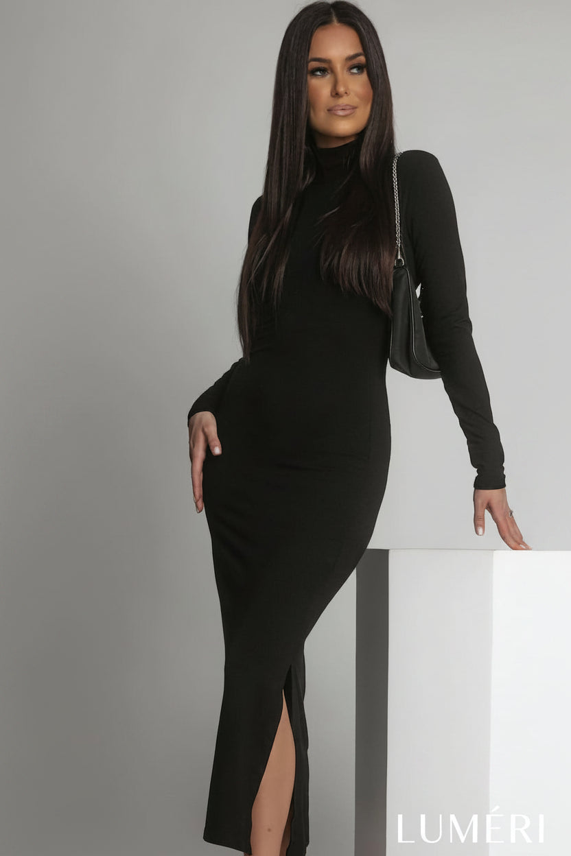 Luméri Muse | Smooth Dress With Long Sleeves And A Turtleneck Black 1 – LUMÉRI