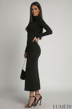Luméri Muse | Smooth Dress With Long Sleeves And A Turtleneck Black 2 worn on model – LUMÉRI